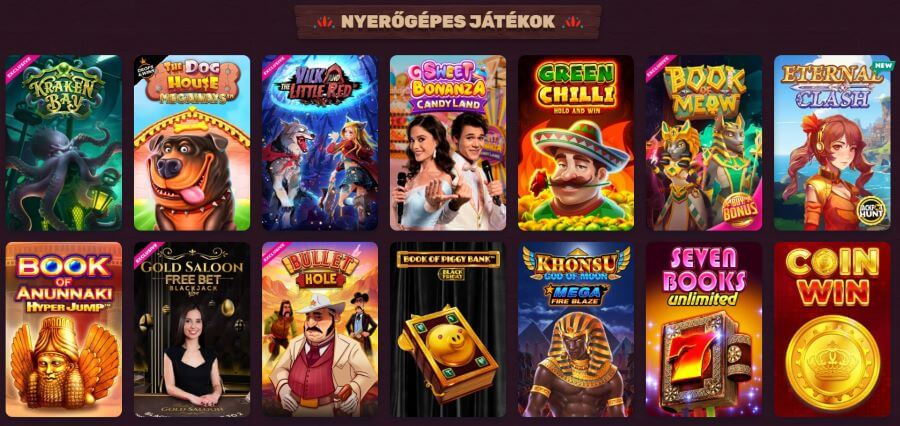 Megvizsgáltuk a 5Gringos biztonsági rendszerét és engedélyeit.
