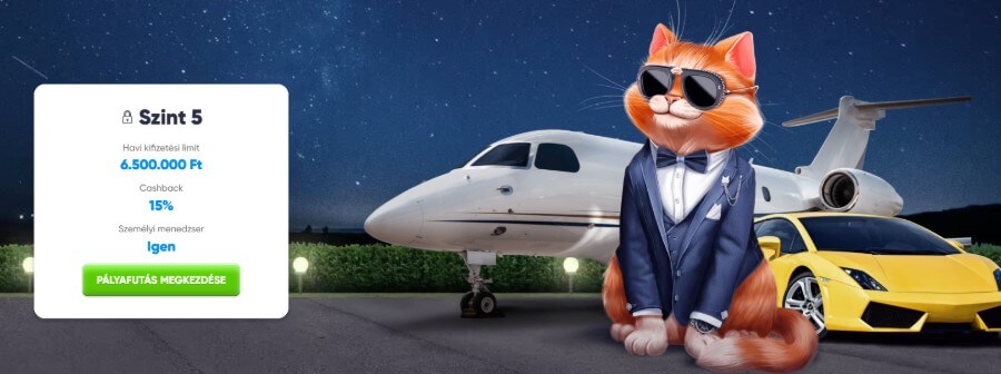 VIP program