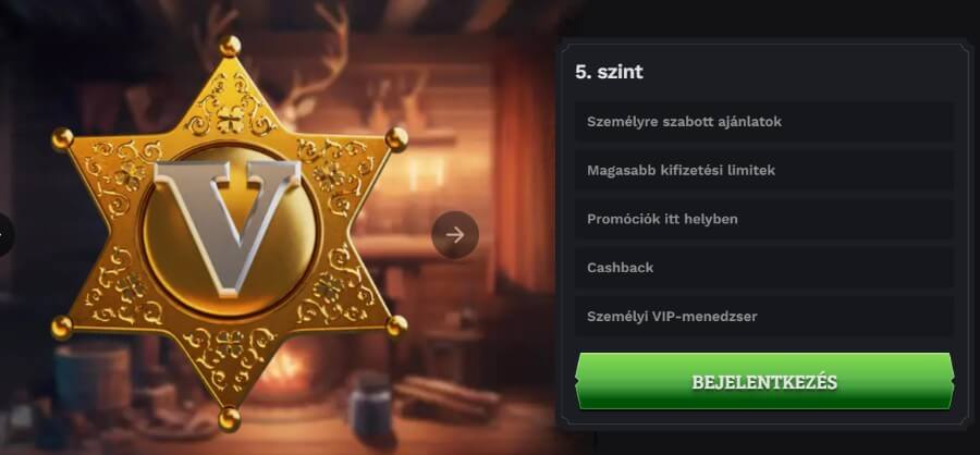 VIP program